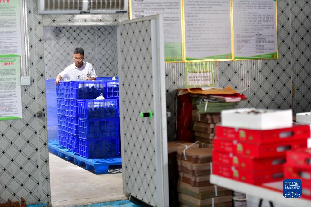 打鱼赢现金下载